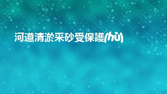 河道清淤采砂受保護(hù)嗎清淤工程如何提升水體生態(tài)？專家解密施工技巧與實(shí)戰(zhàn)經(jīng)驗(yàn)！